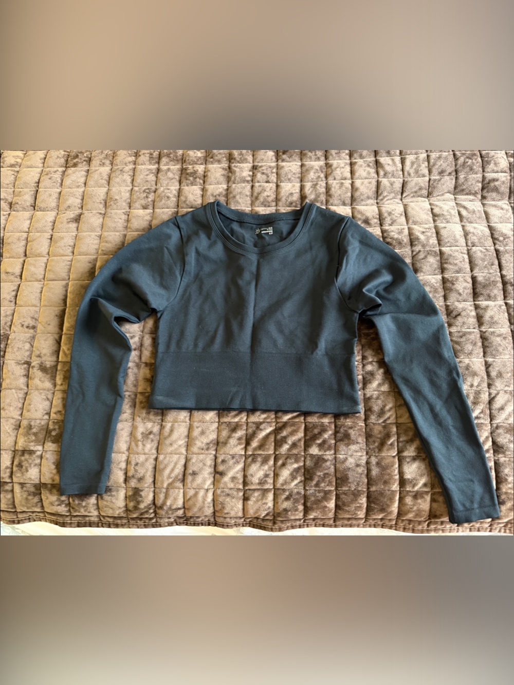 aerie Long Sleeve Cropped Top